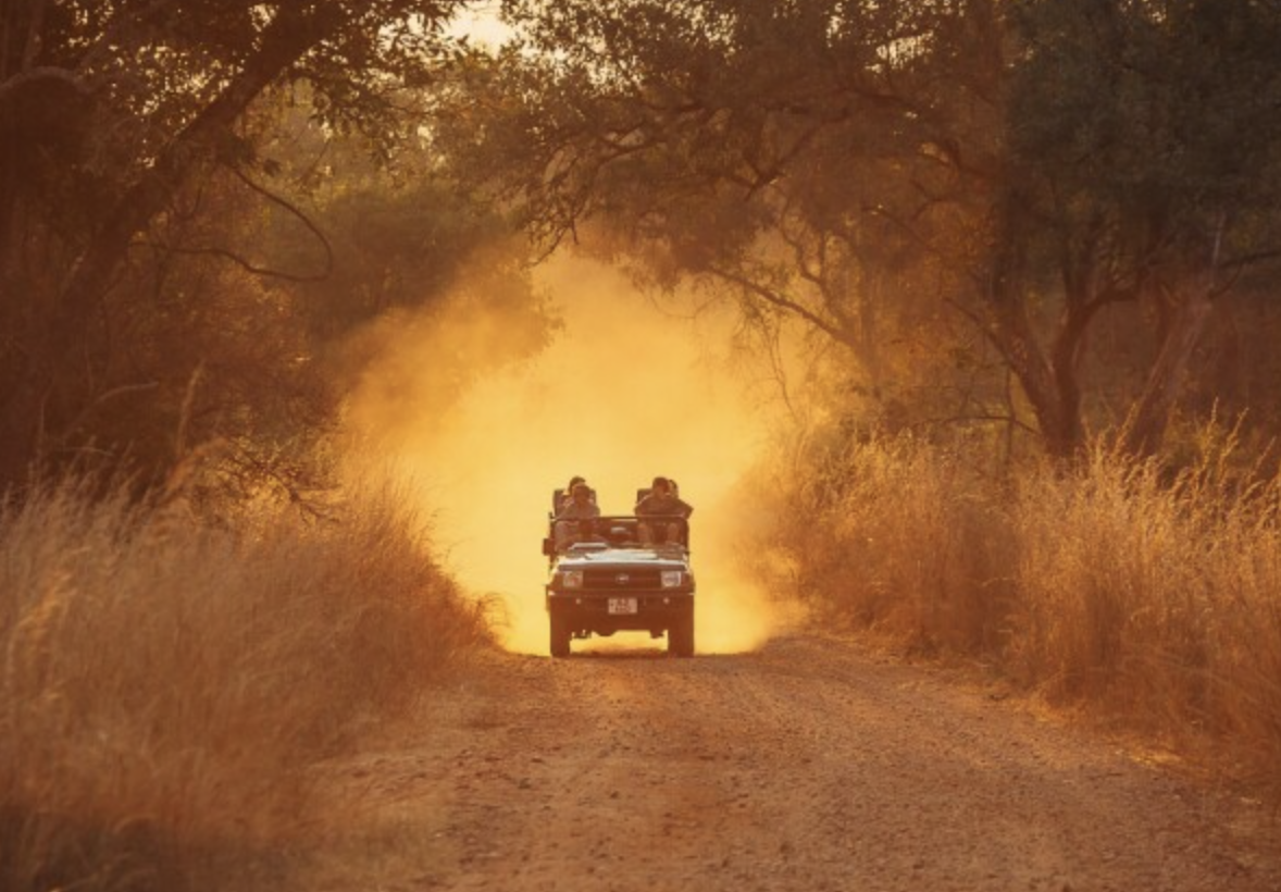 Self-drive 4x4 vehicle dust trail, Zimbabwe